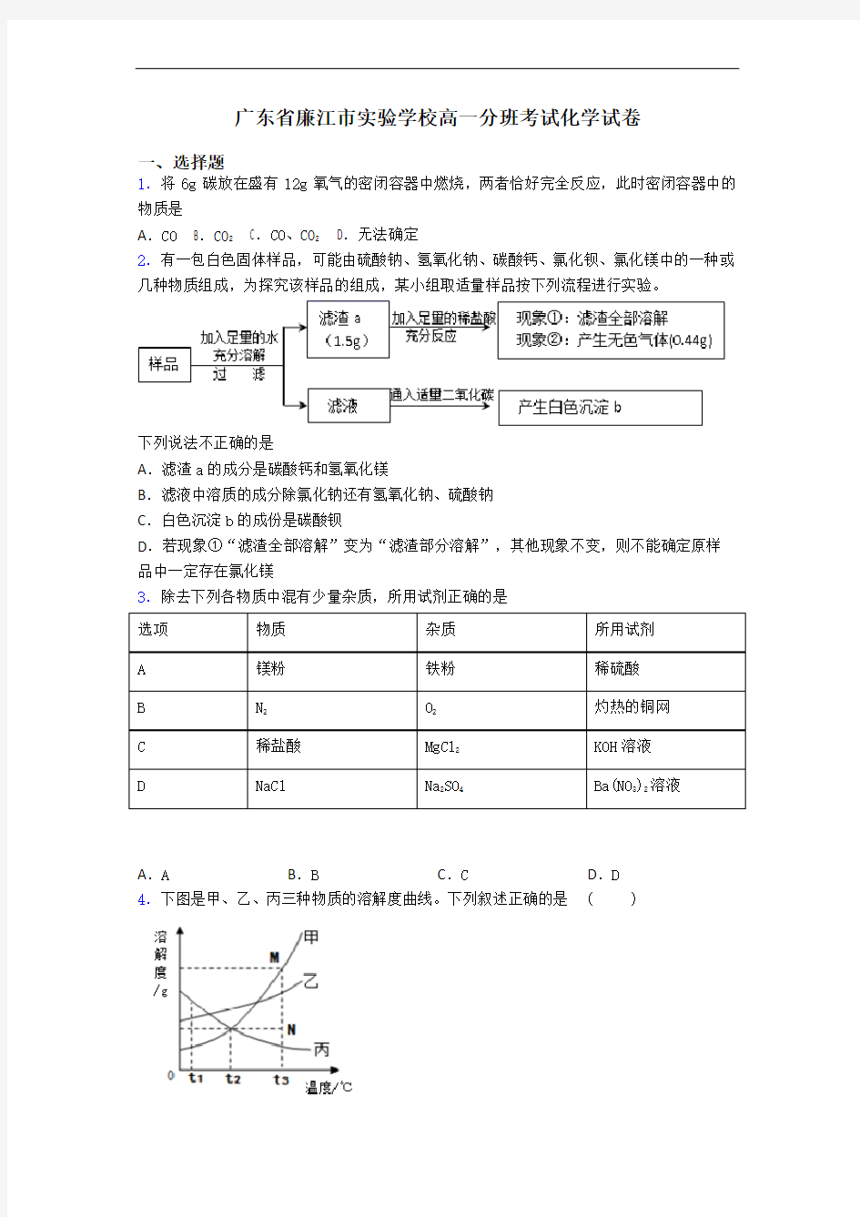 广东省廉江市实验学校高一分班考试化学试卷