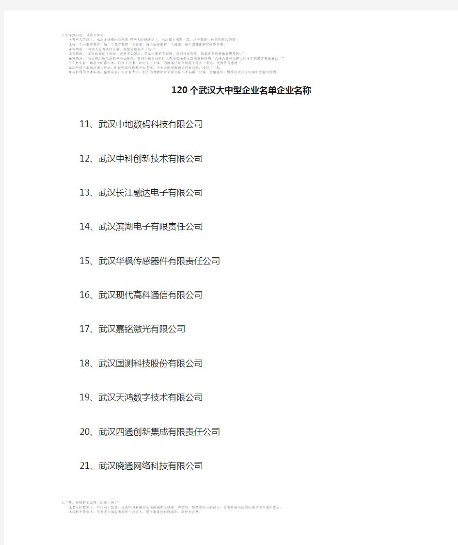 120个武汉大中型企业名单