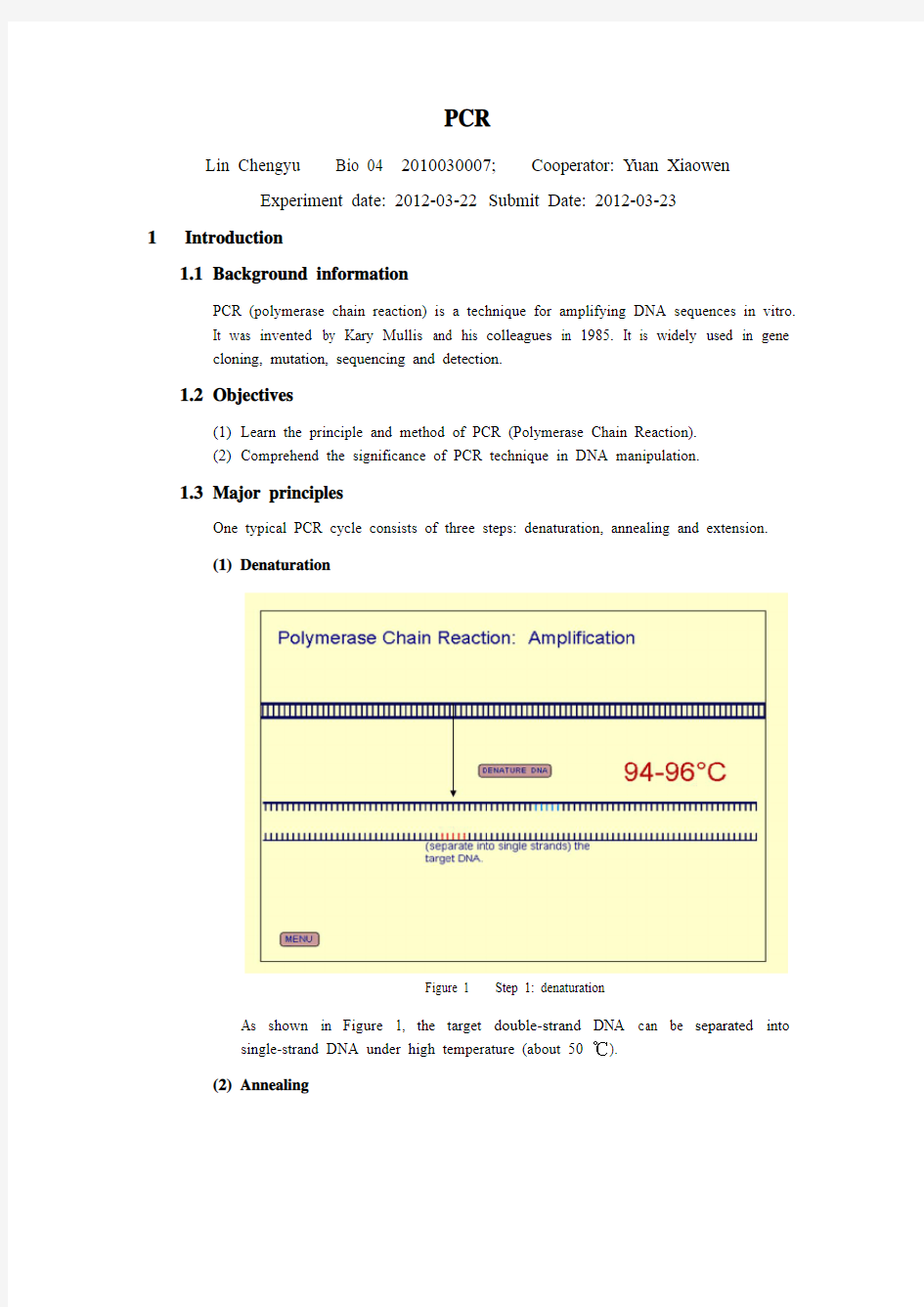 PCR实验报告(分子生物学实验)