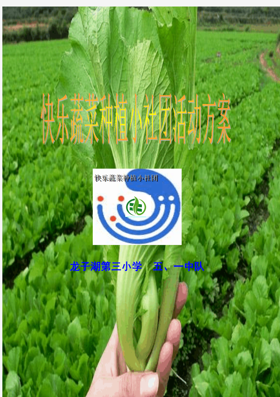 快乐蔬菜种植小社团活动方案