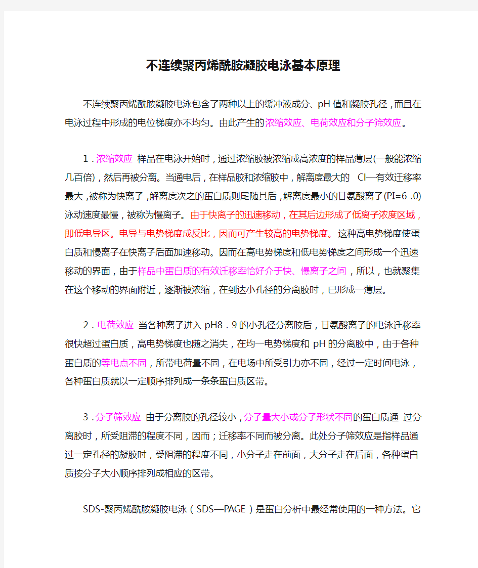 不连续聚丙烯酰胺凝胶电泳基本原理