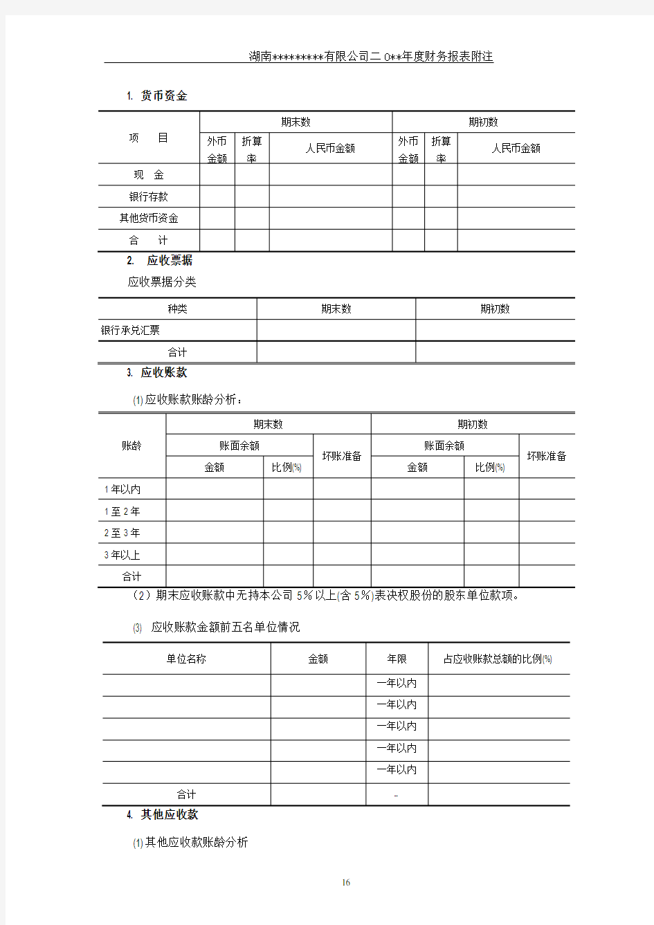 最详细的年度财务报表附注模板