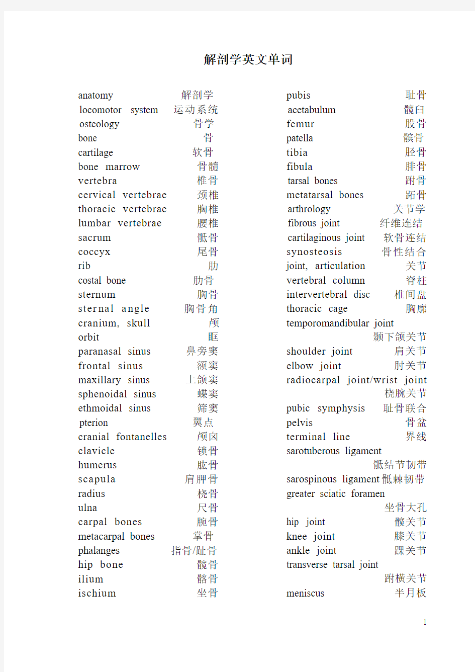解剖学英文名词