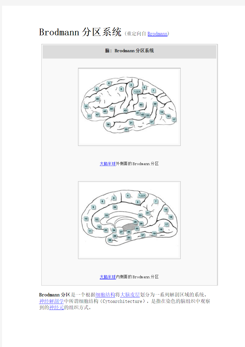 Brodmann分区系统