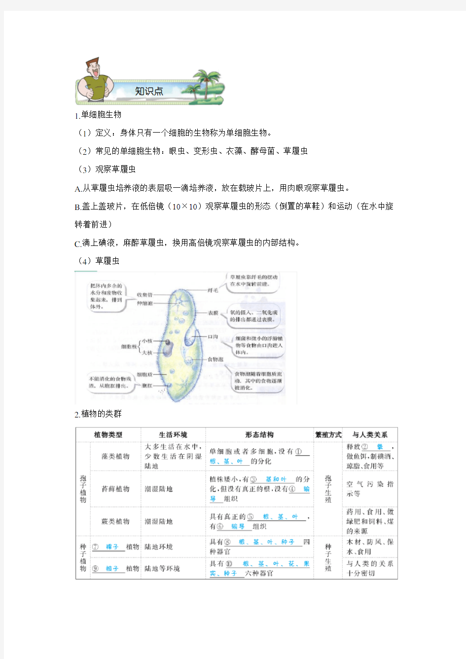 七上生物裸子植物与被子植物