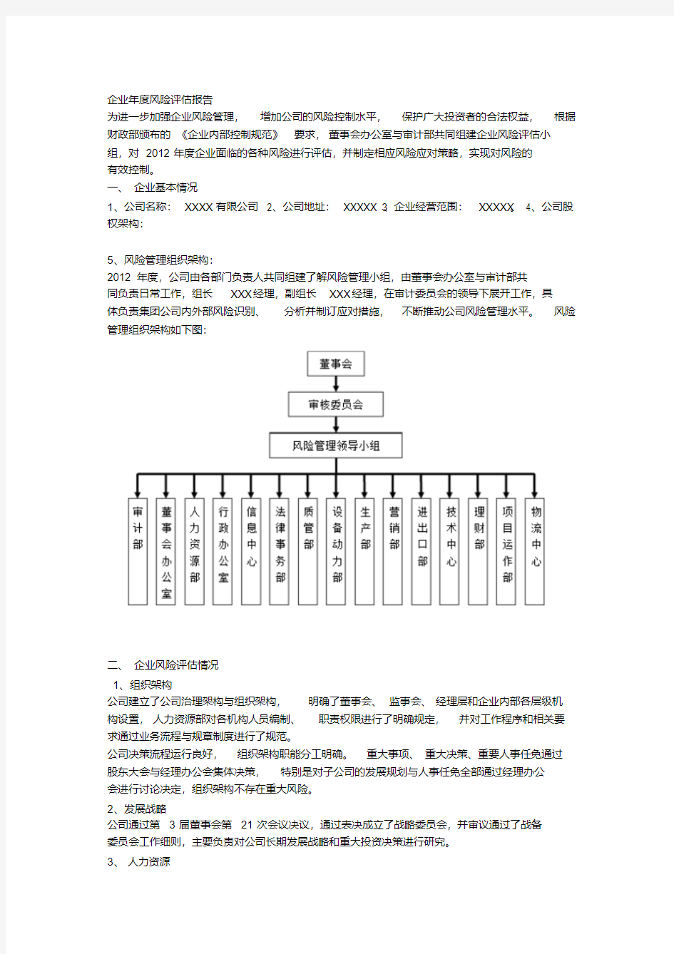 企业年度风险评估报告