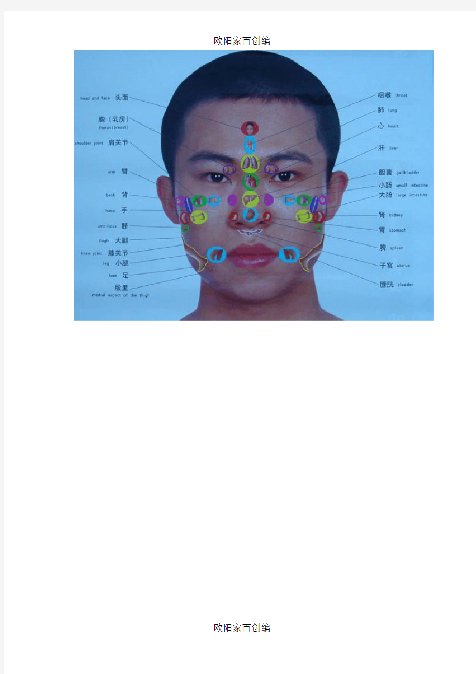 人体全息反射图解之欧阳家百创编