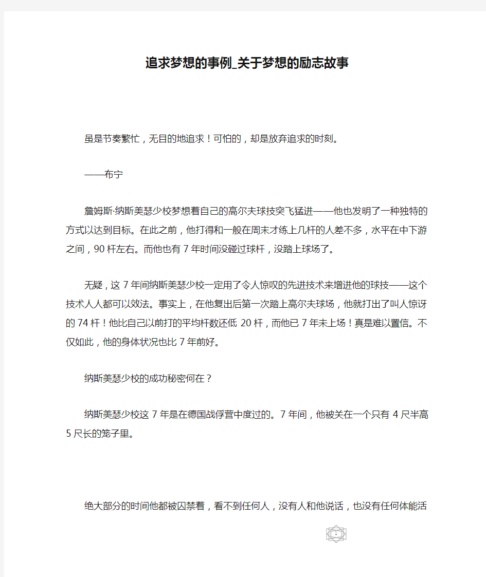 追求梦想的事例_关于梦想的励志故事