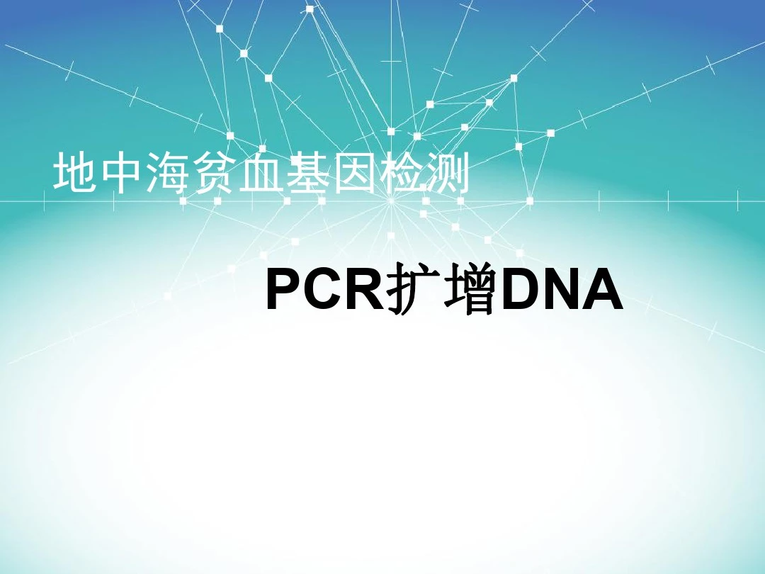 地中海贫血基因检测-PCR扩增 2(13检本)
