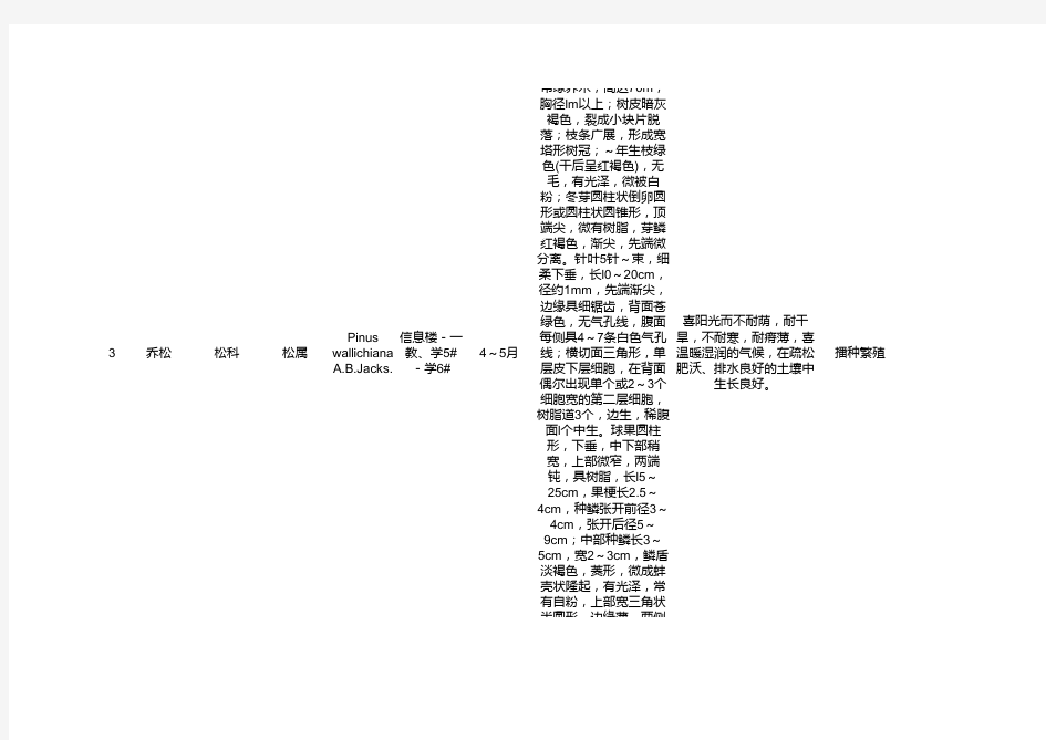 北京林业大学植物分布及物候调查表