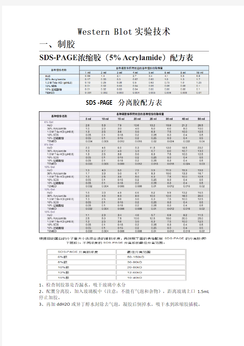 Western Blot实验详细步骤