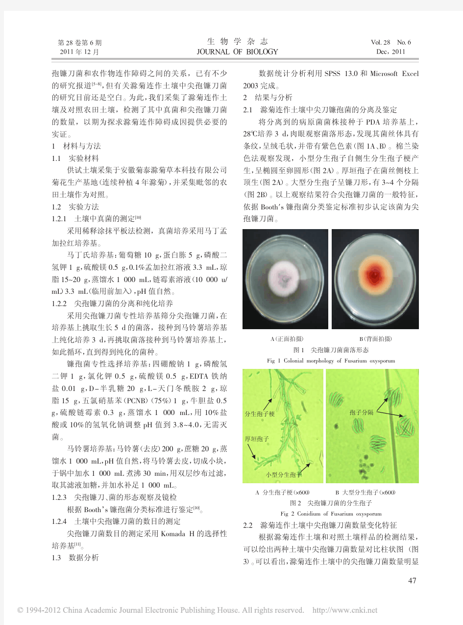2011滁菊连作土壤中尖孢镰刀菌的分离_鉴定及变化特征