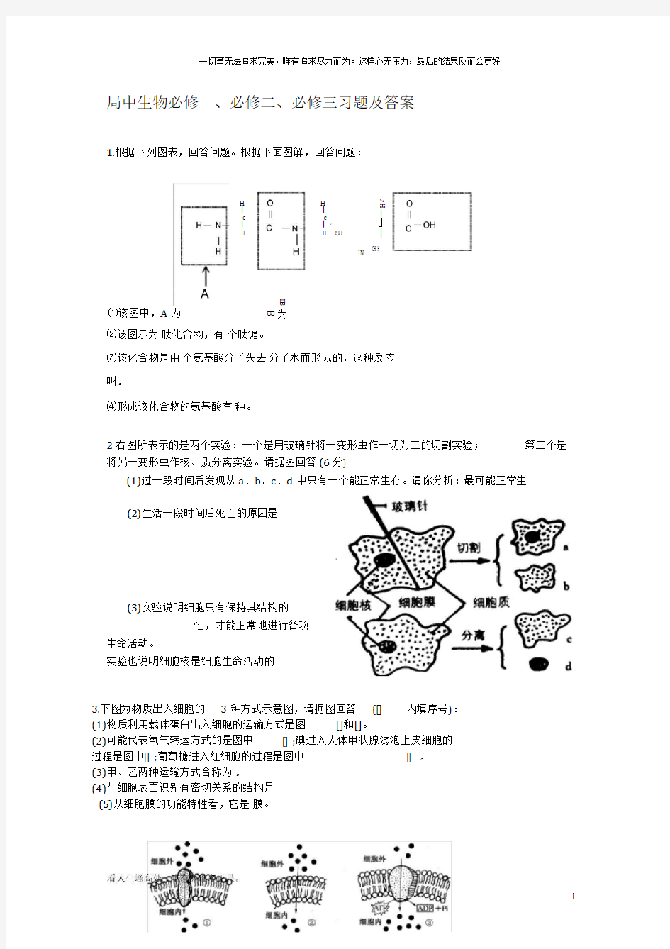 (新)高中生物必修一、必修二、必修三习题及答案