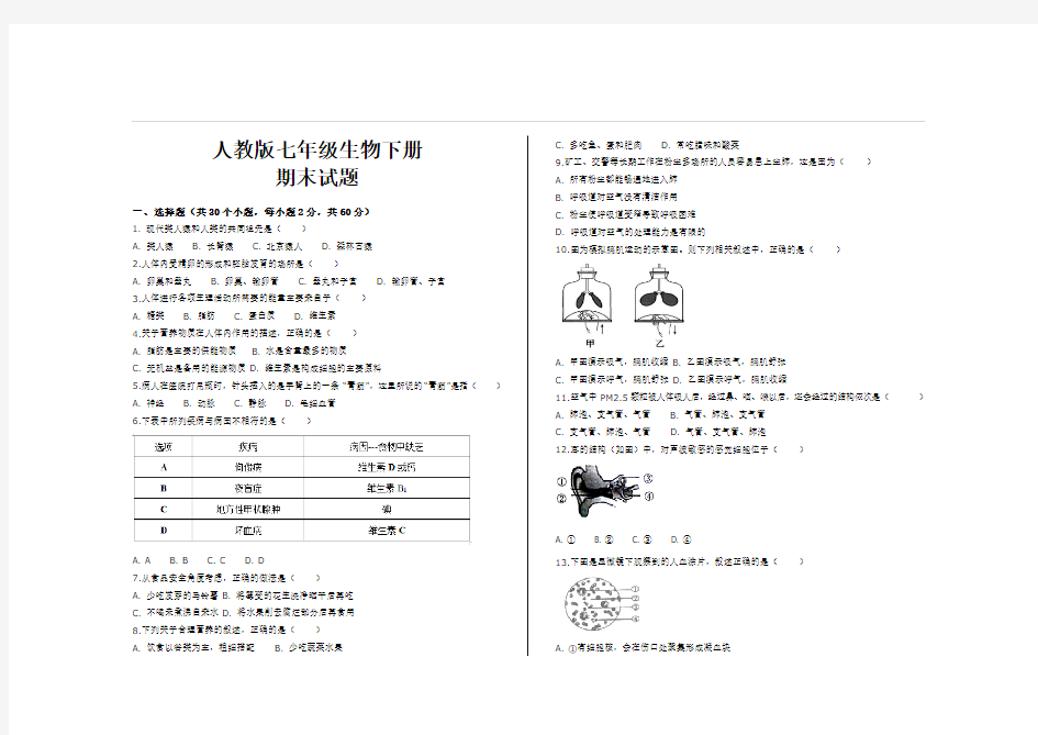 最新人教版七年级生物下册期末试题及答案