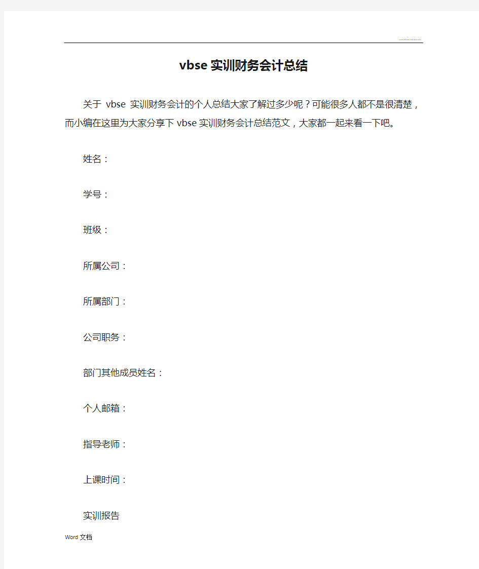 vbse实训财务会计总结