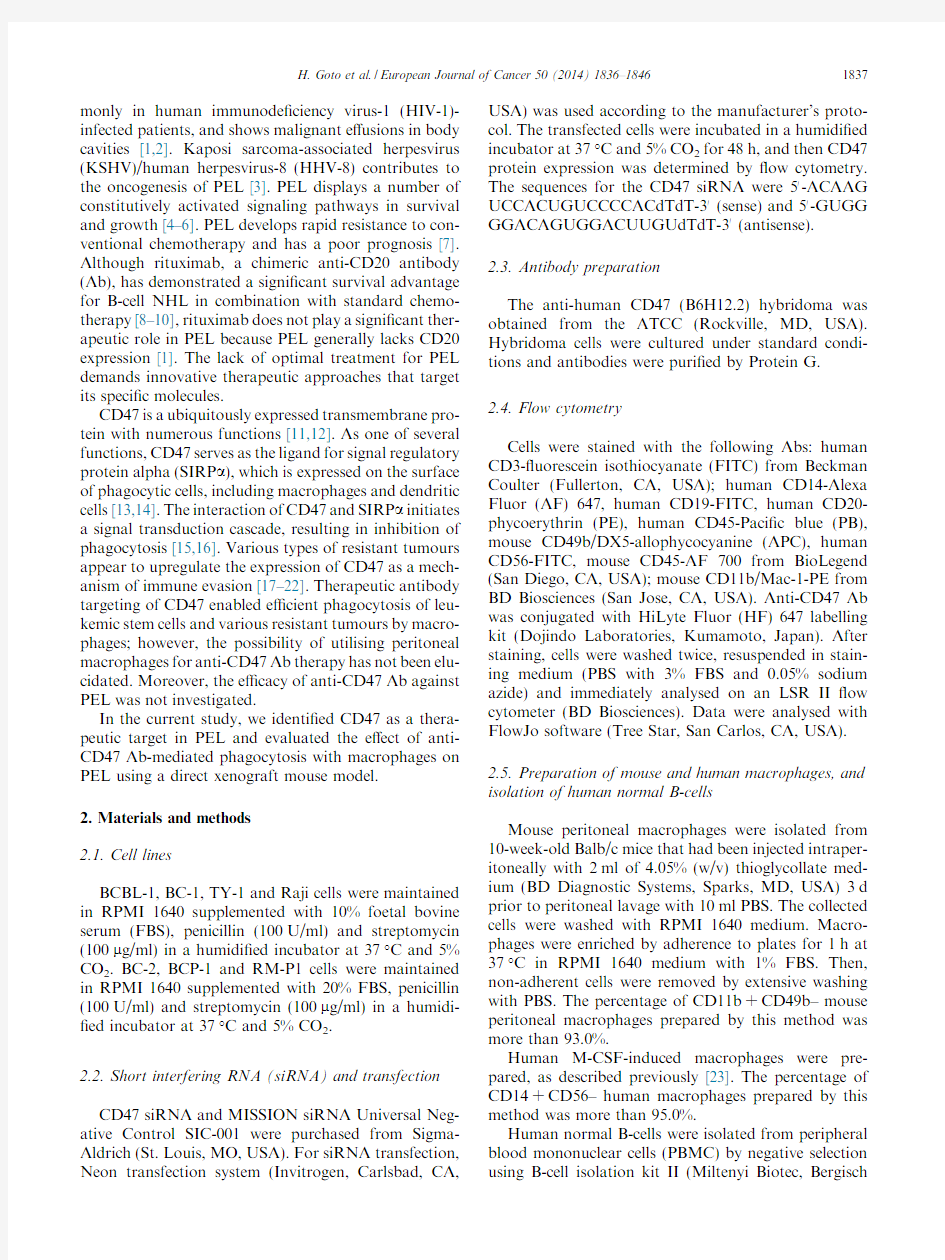 Efficacy of anti-CD47 antibody-mediated phagocytosis