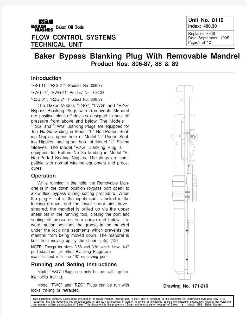 BAKER bypass blank plug