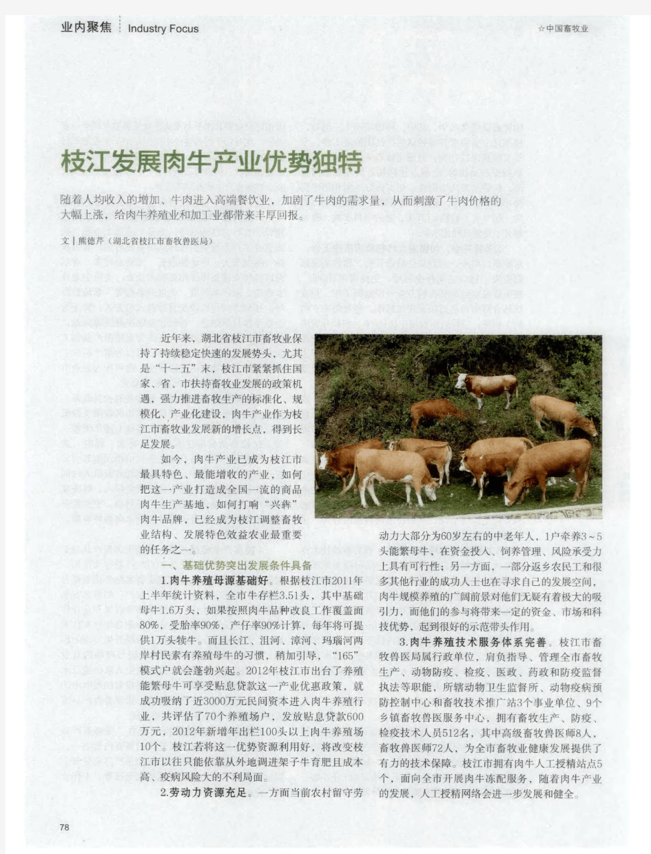 枝江发展肉牛产业优势独特