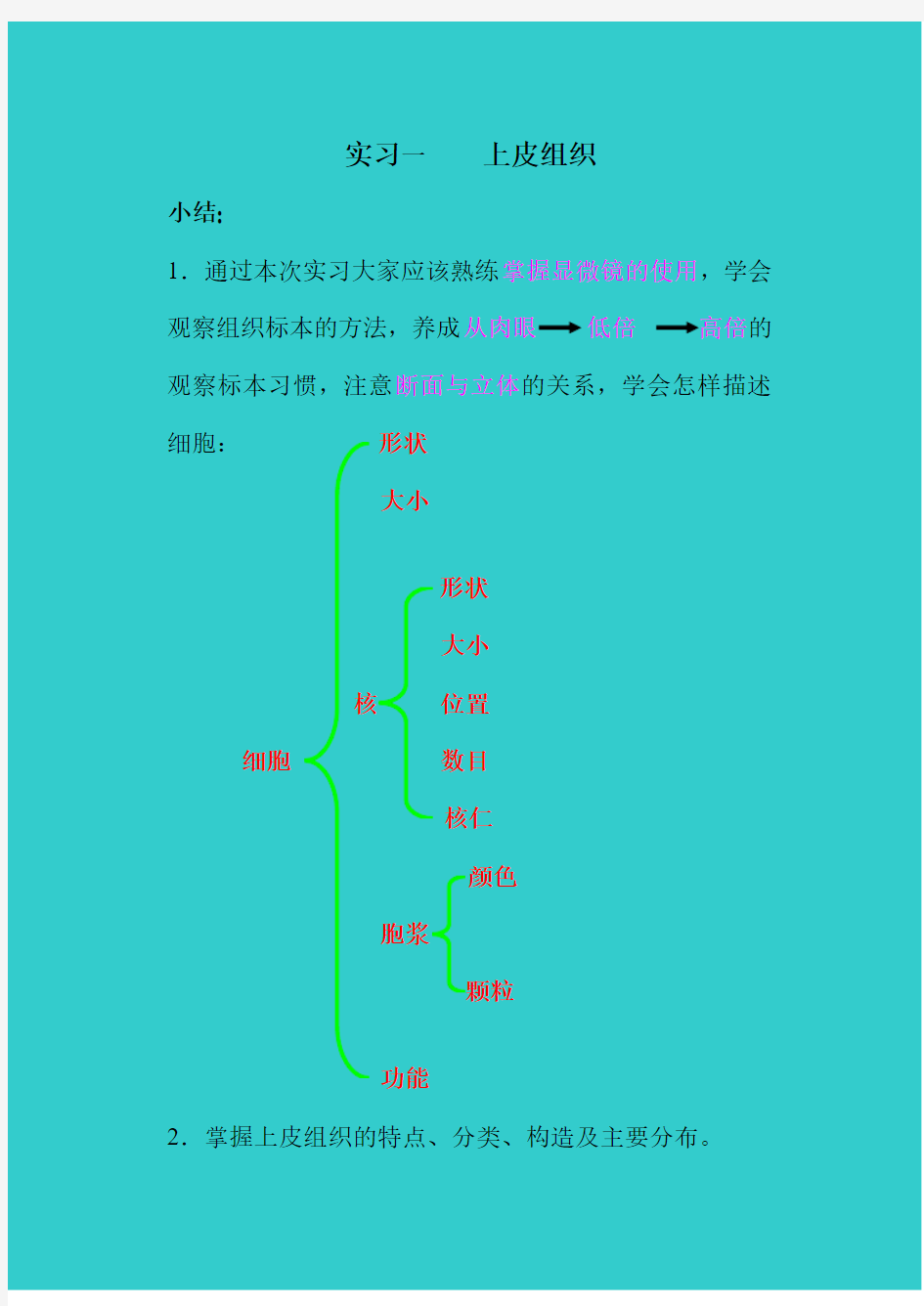 北医组胚实习小结