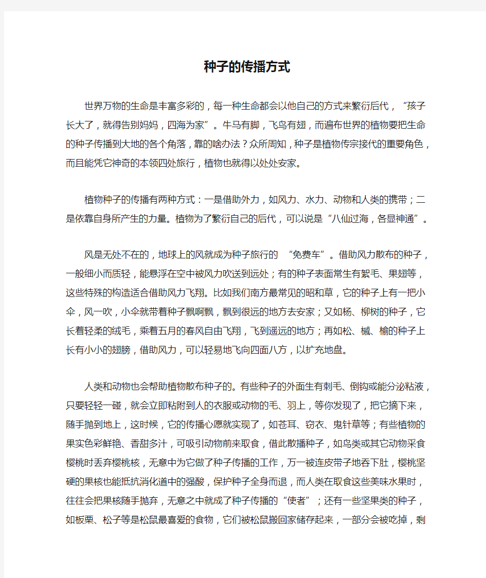 种子的传播方式