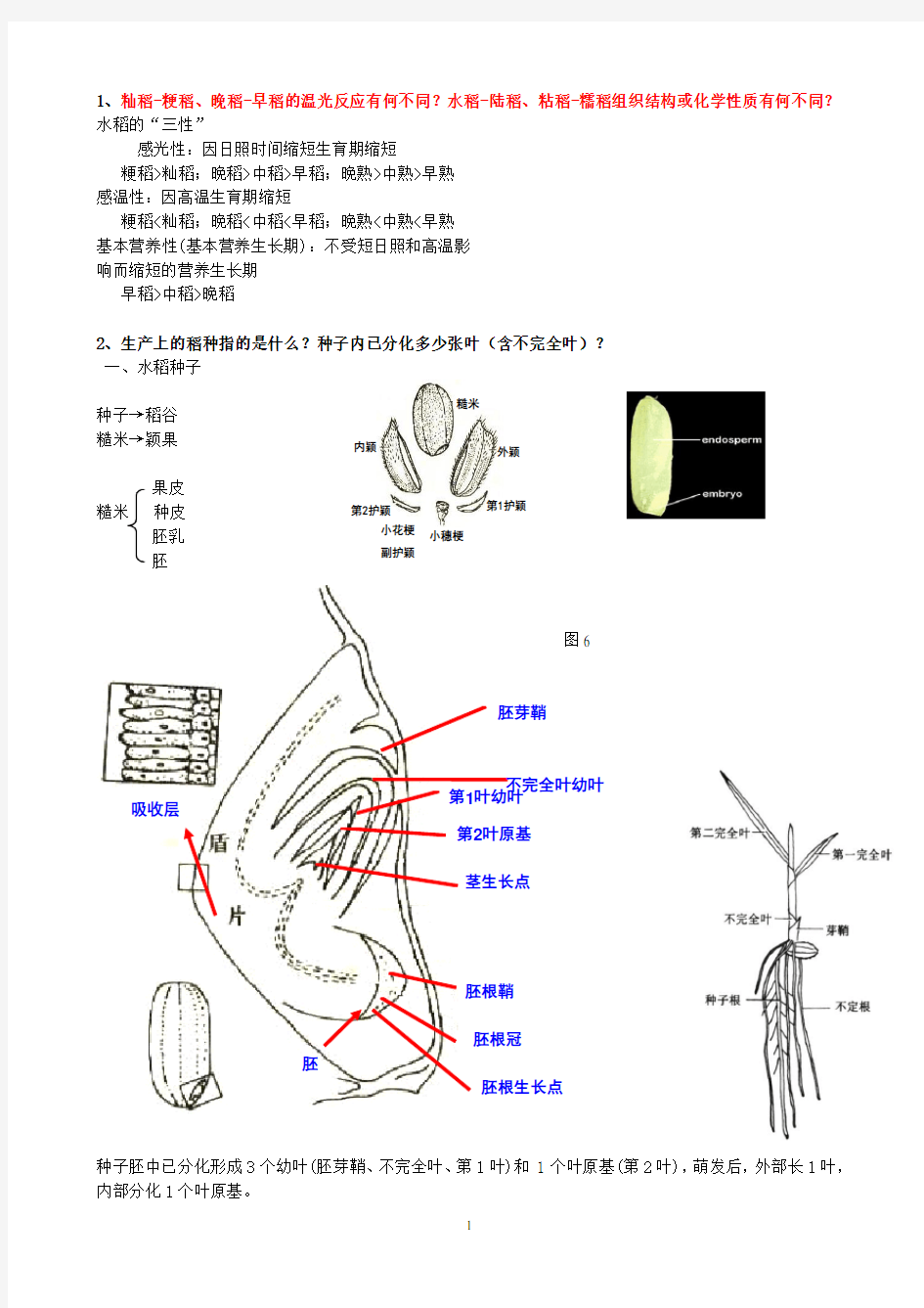 水稻栽培学考试重点