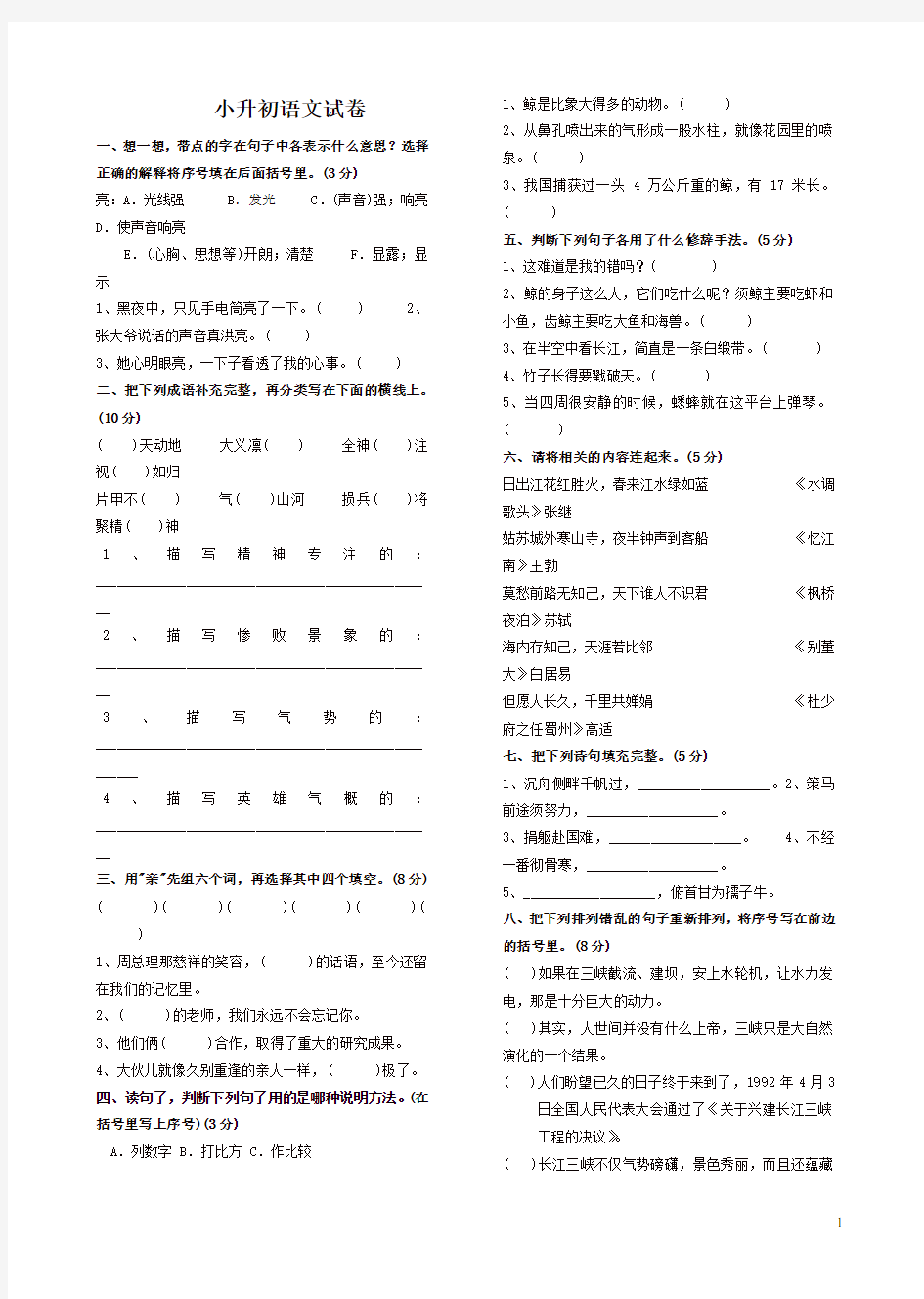 人教版小升初语文试卷及答案