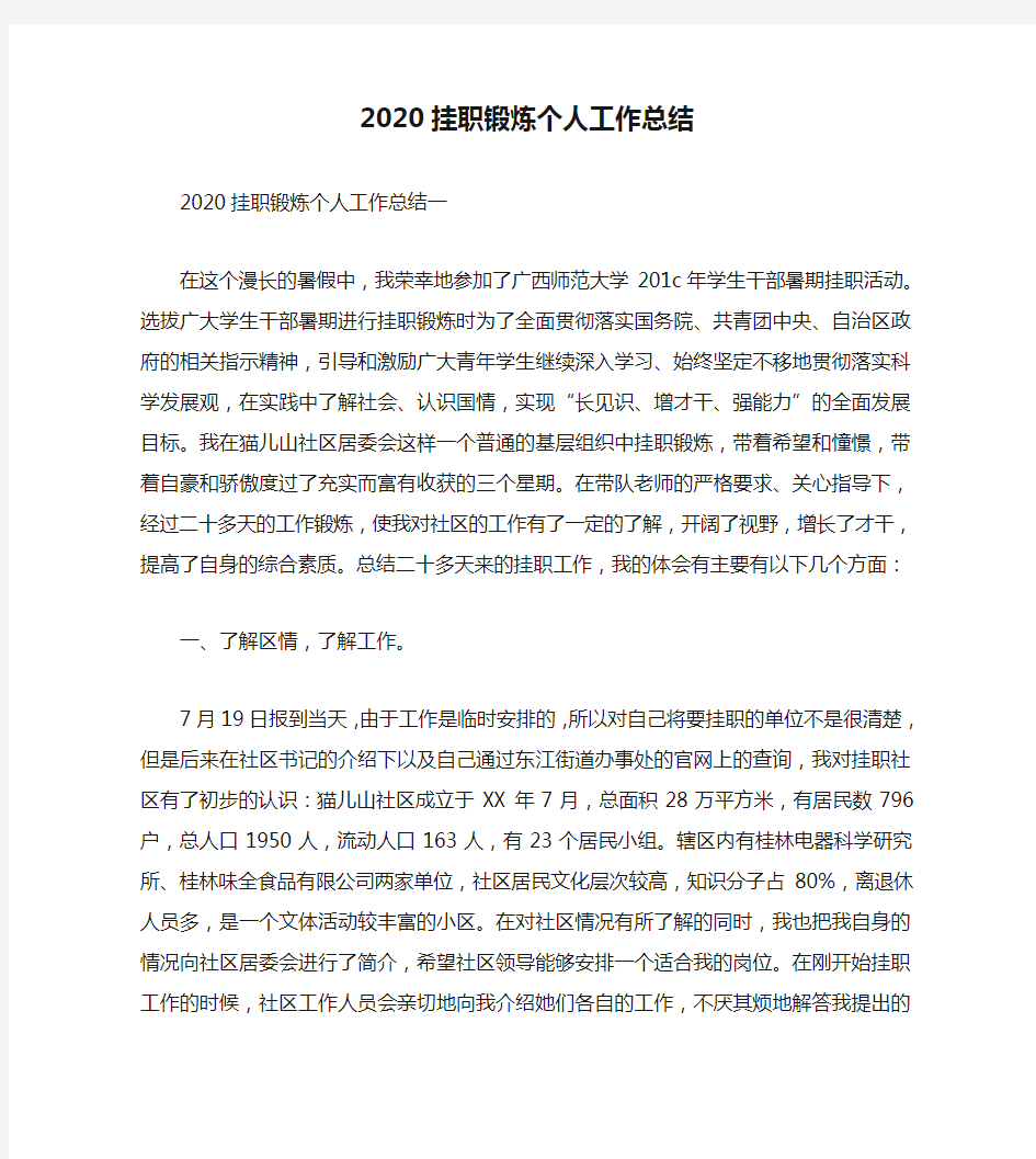 个人工作总结-2020挂职锻炼个人工作总结