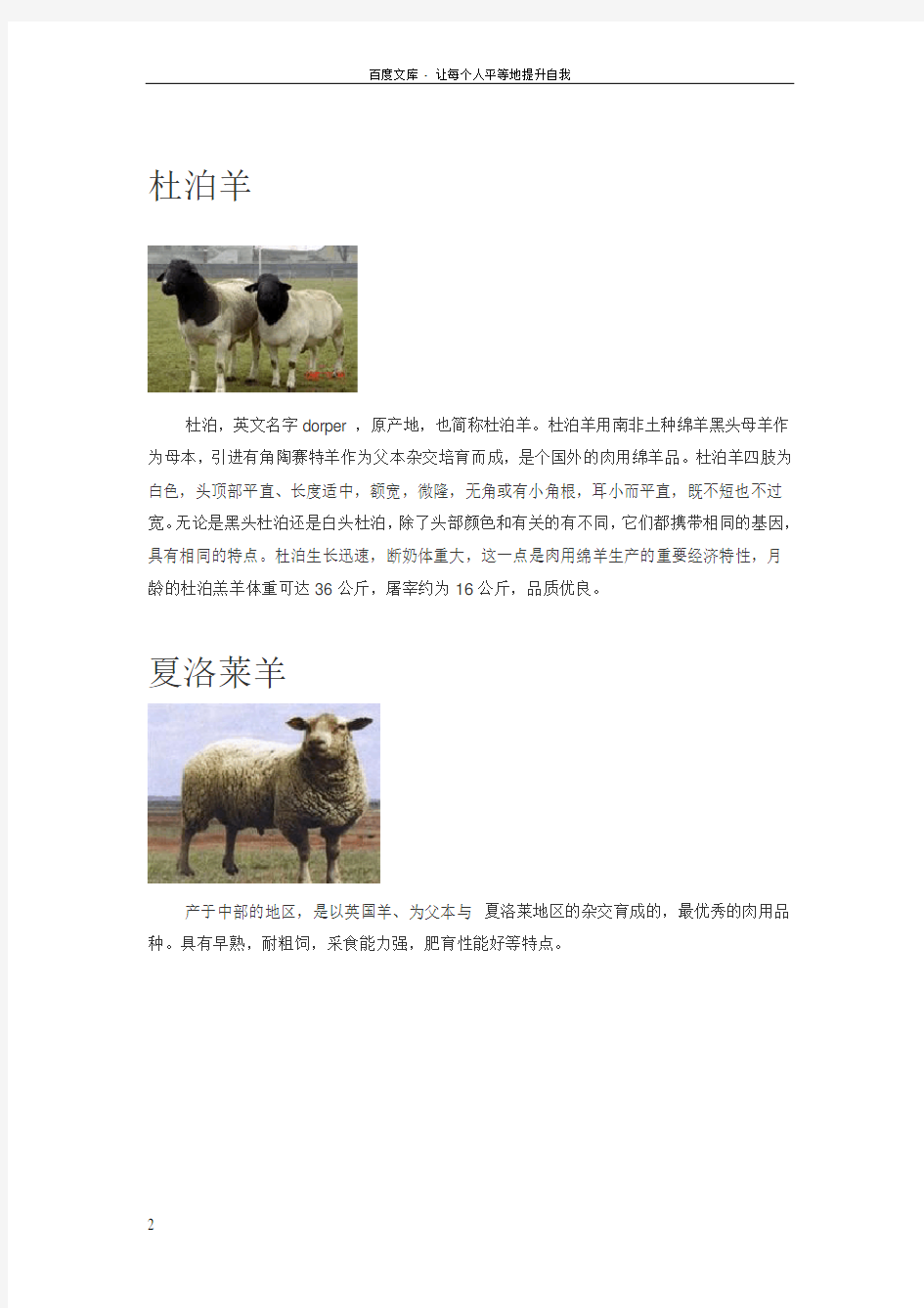 绵羊山羊品种及简介