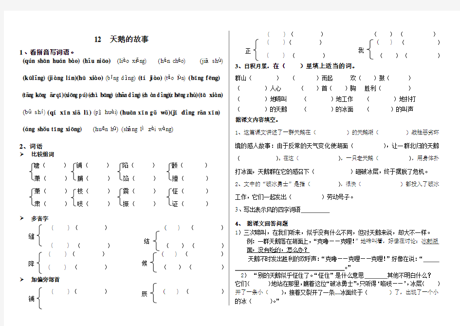 上海小学三年级语文第十五课《走路的奥秘》课内复习