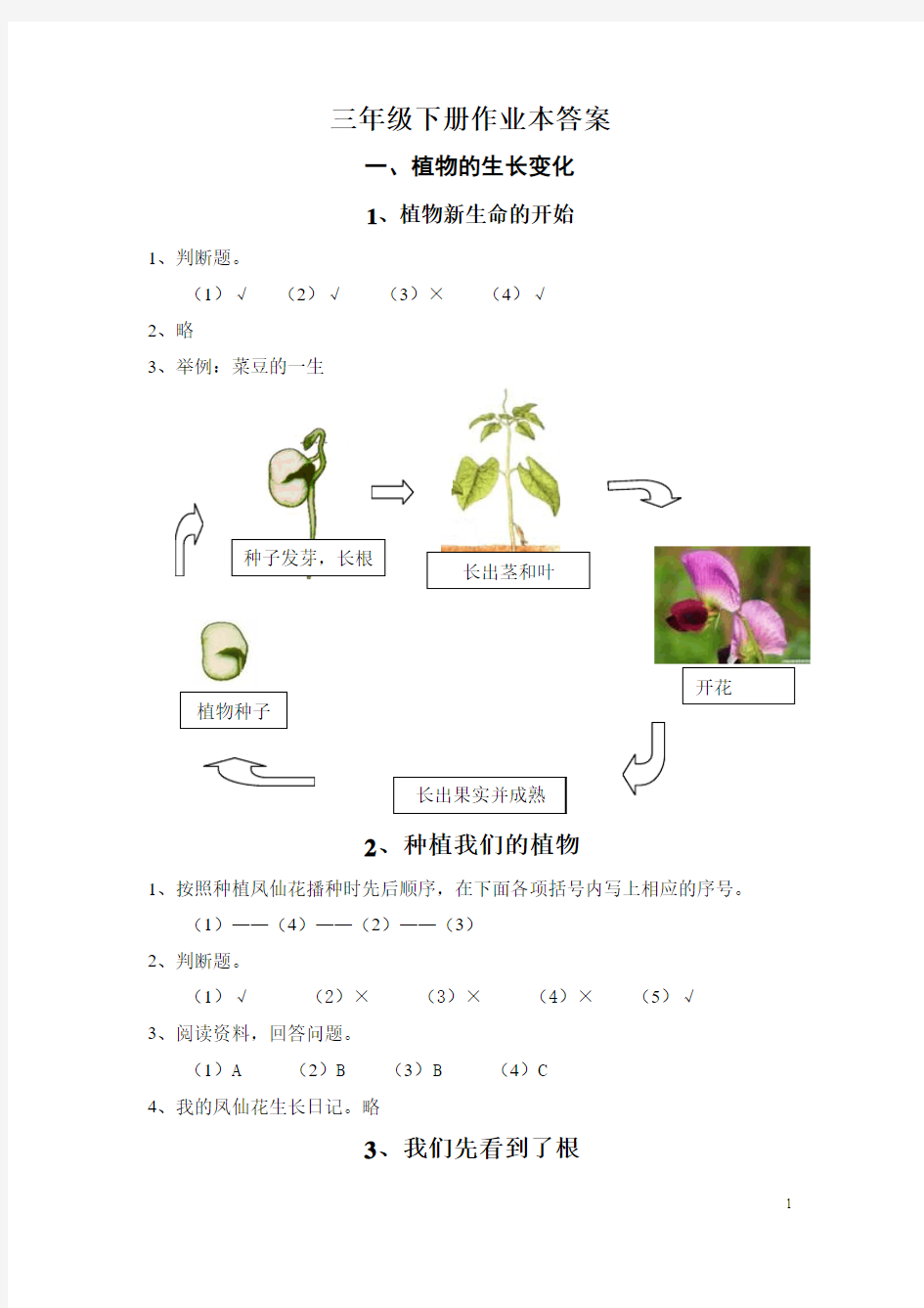 三年级下册科学作业本答案