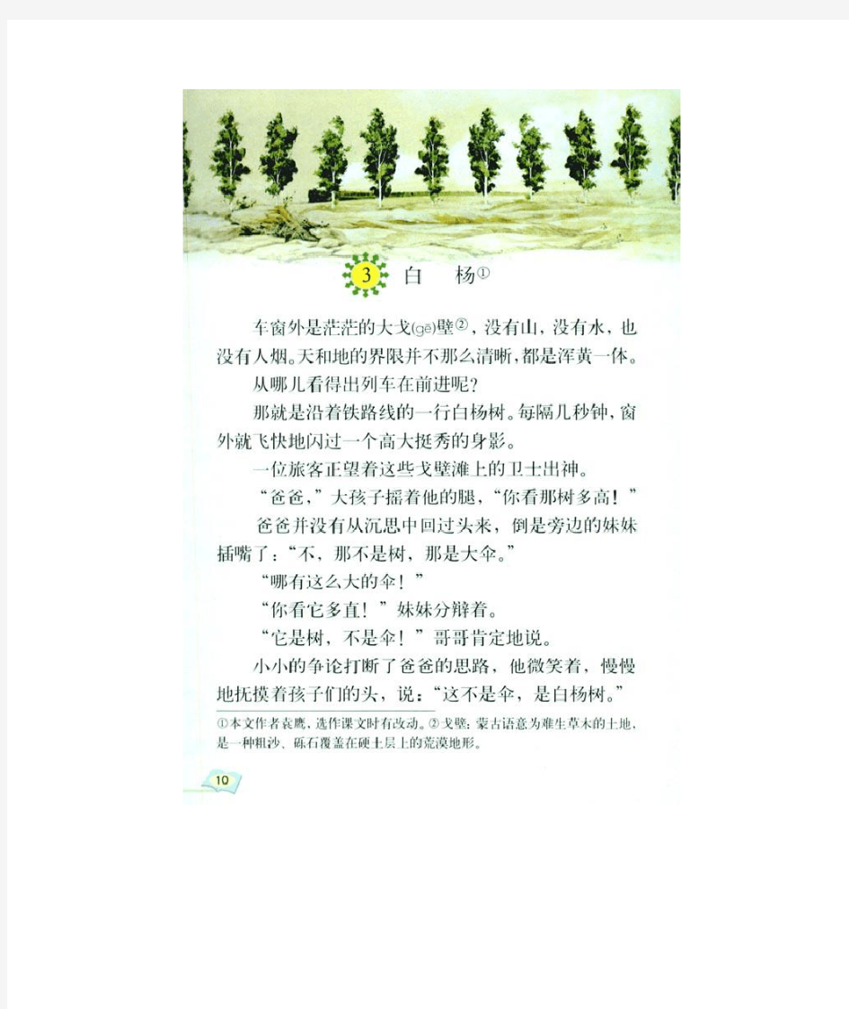 人教版五年级语文下册课文《白杨》