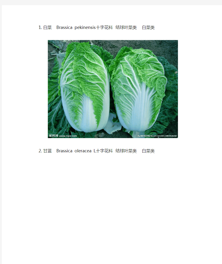 40常见蔬菜及分类 配图