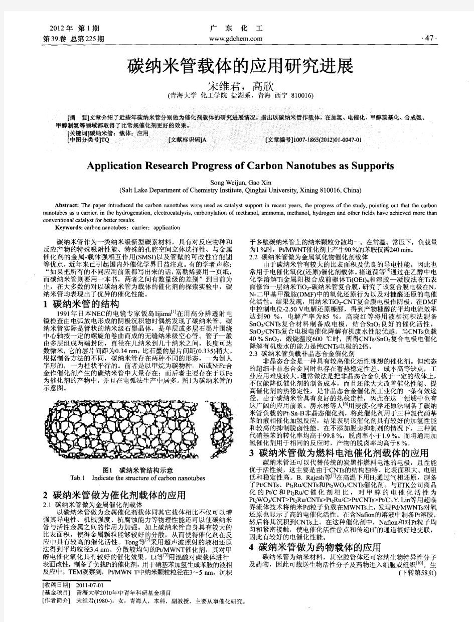 碳纳米管载体的应用研究进展