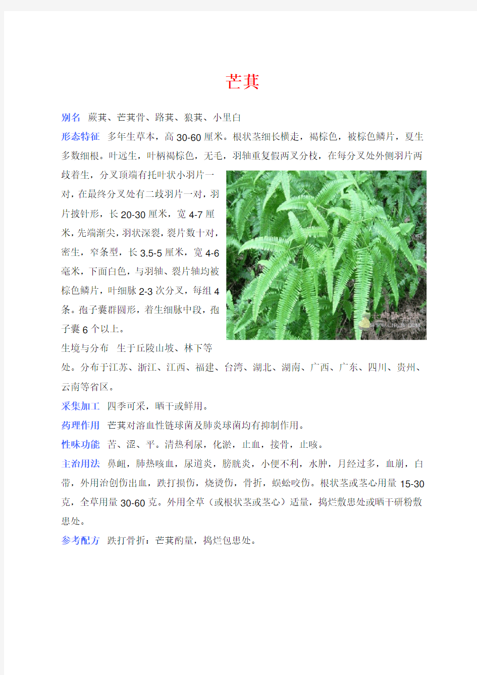 中草药彩色图片大全1学习资料