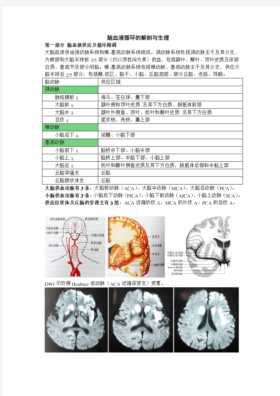 脑血液循环地解剖与生理