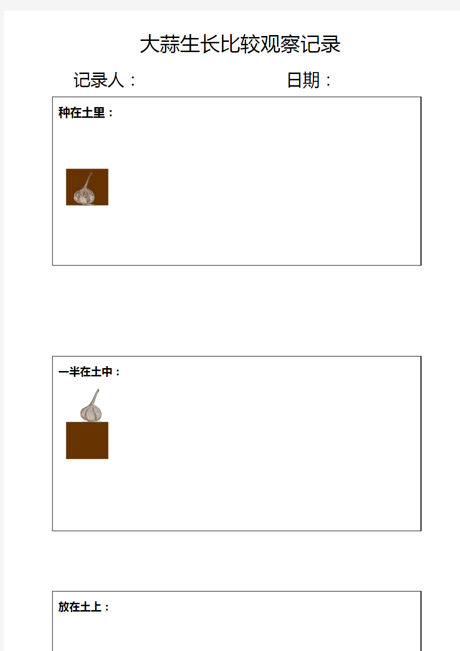 幼儿园种植角-大蒜生长比较观察记录表