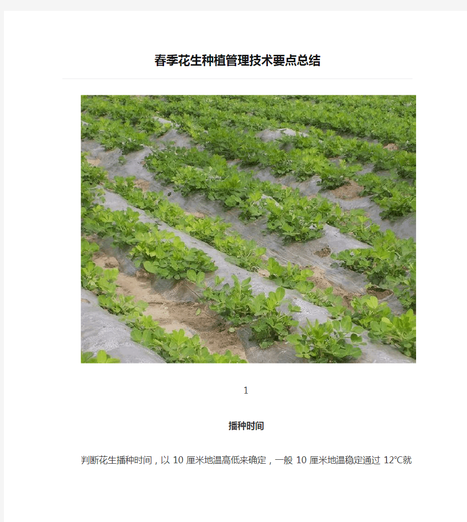 【农业】春季花生种植管理技术要点总结
