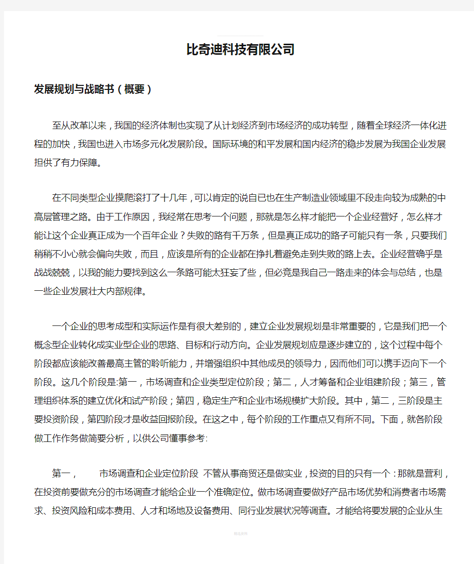 比奇迪科技有限公司发展规划与战略书