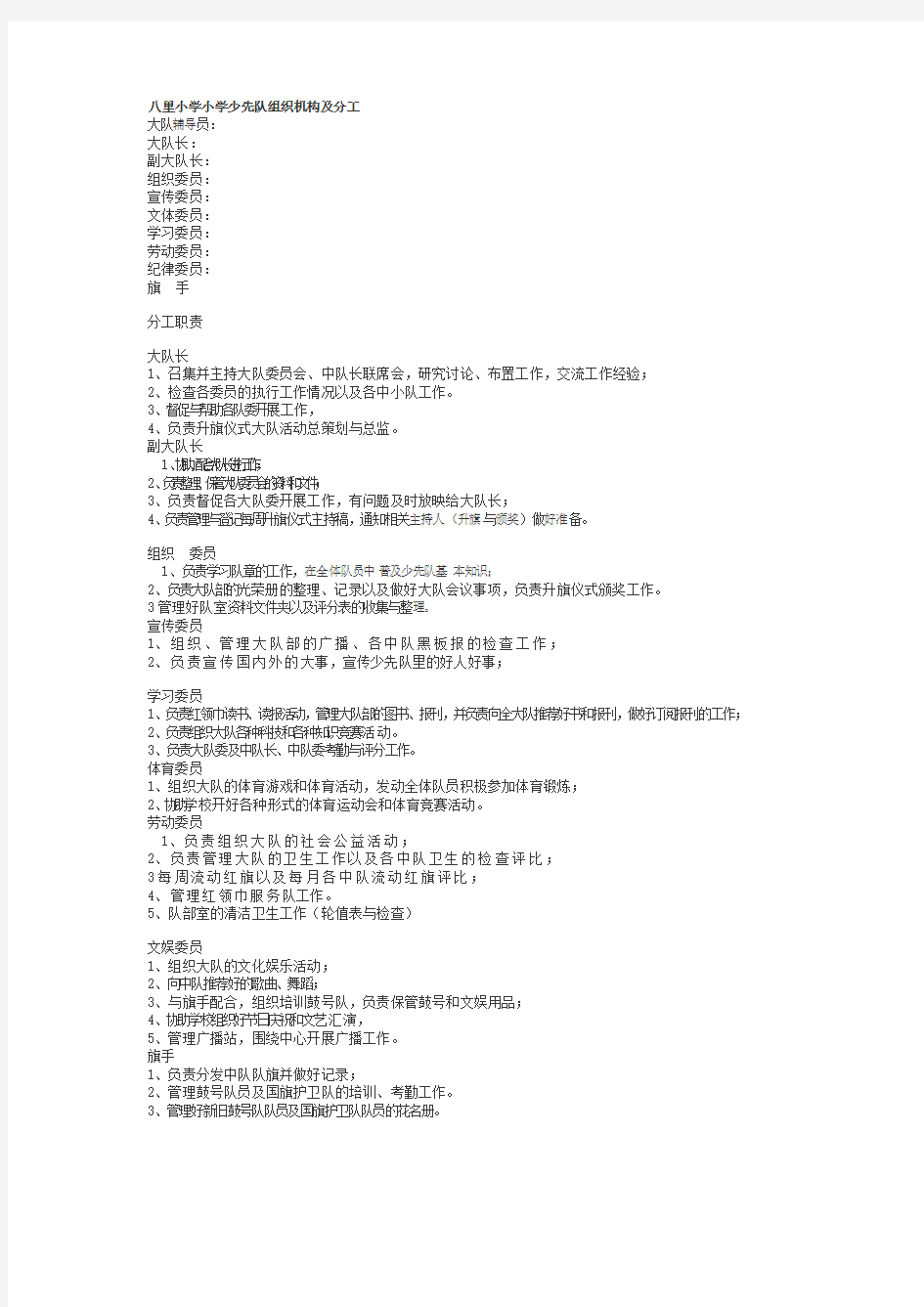 小学小学少先队组织机构及分工