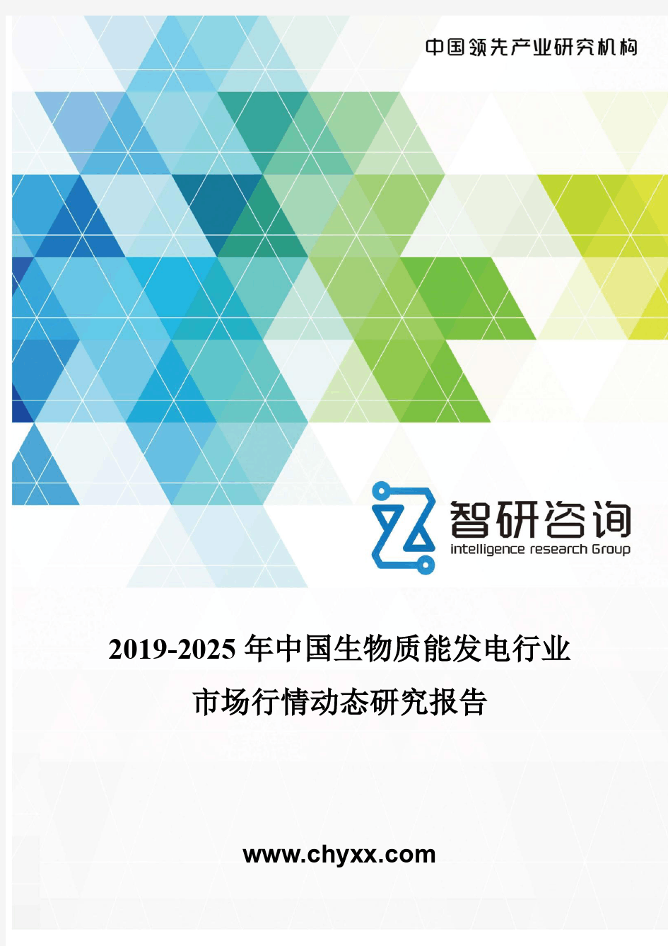 2019-2025年中国生物质能发电行业市场行情动态研究报告