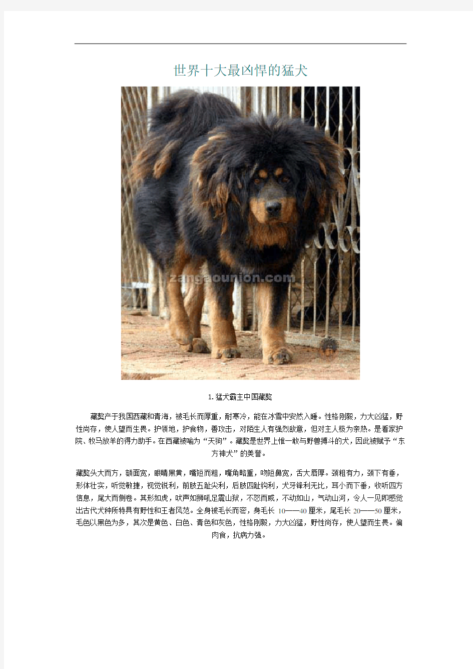 世界十大最凶悍的猛犬