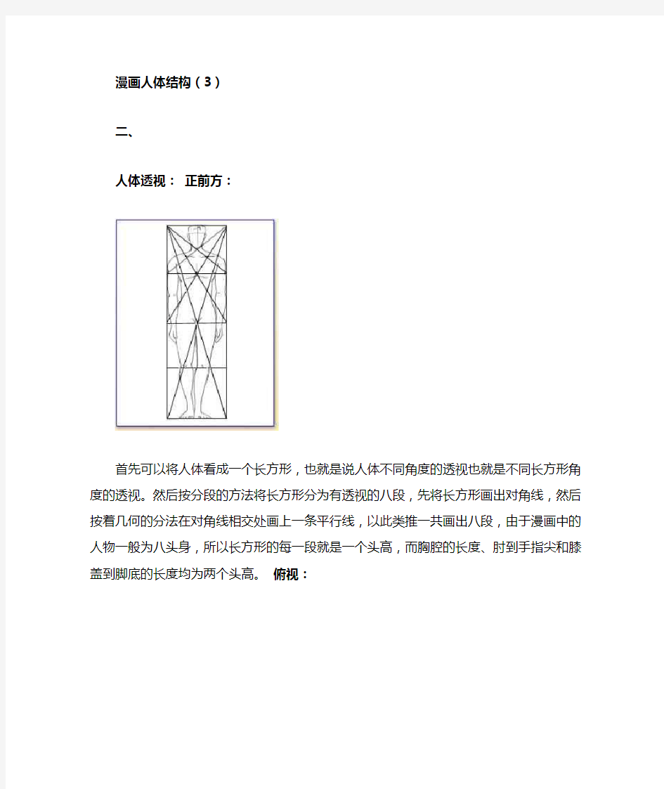 漫画人体结构(1)