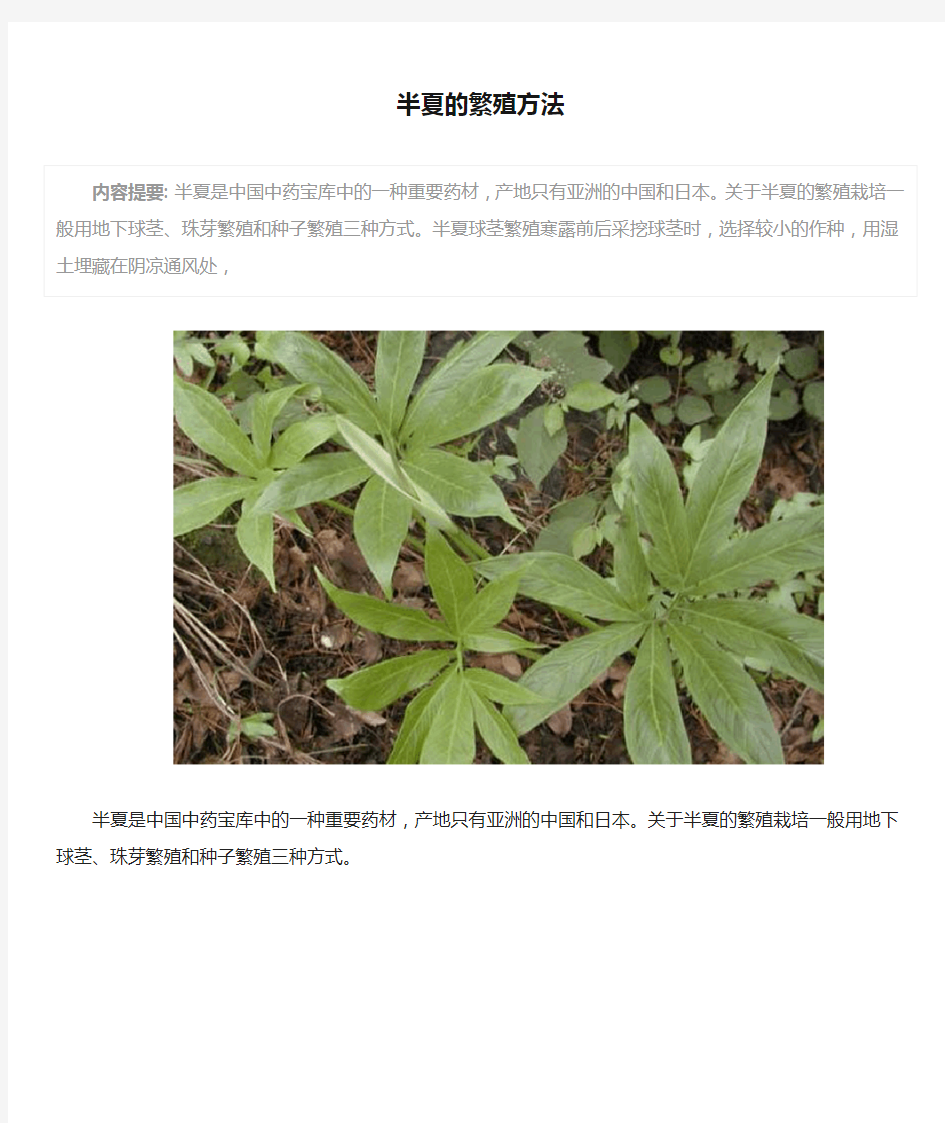 半夏的繁殖方法