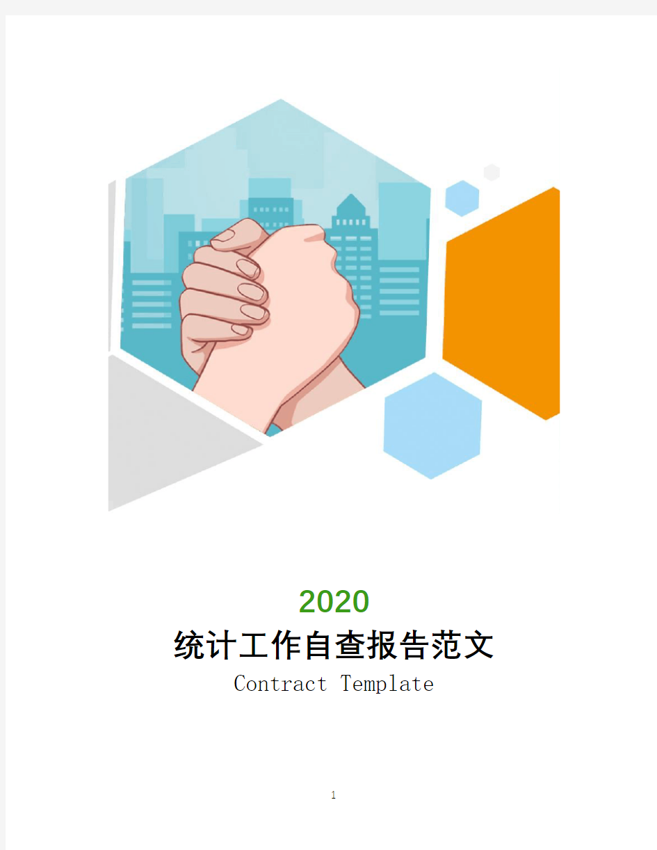 2020统计工作自查报告范文