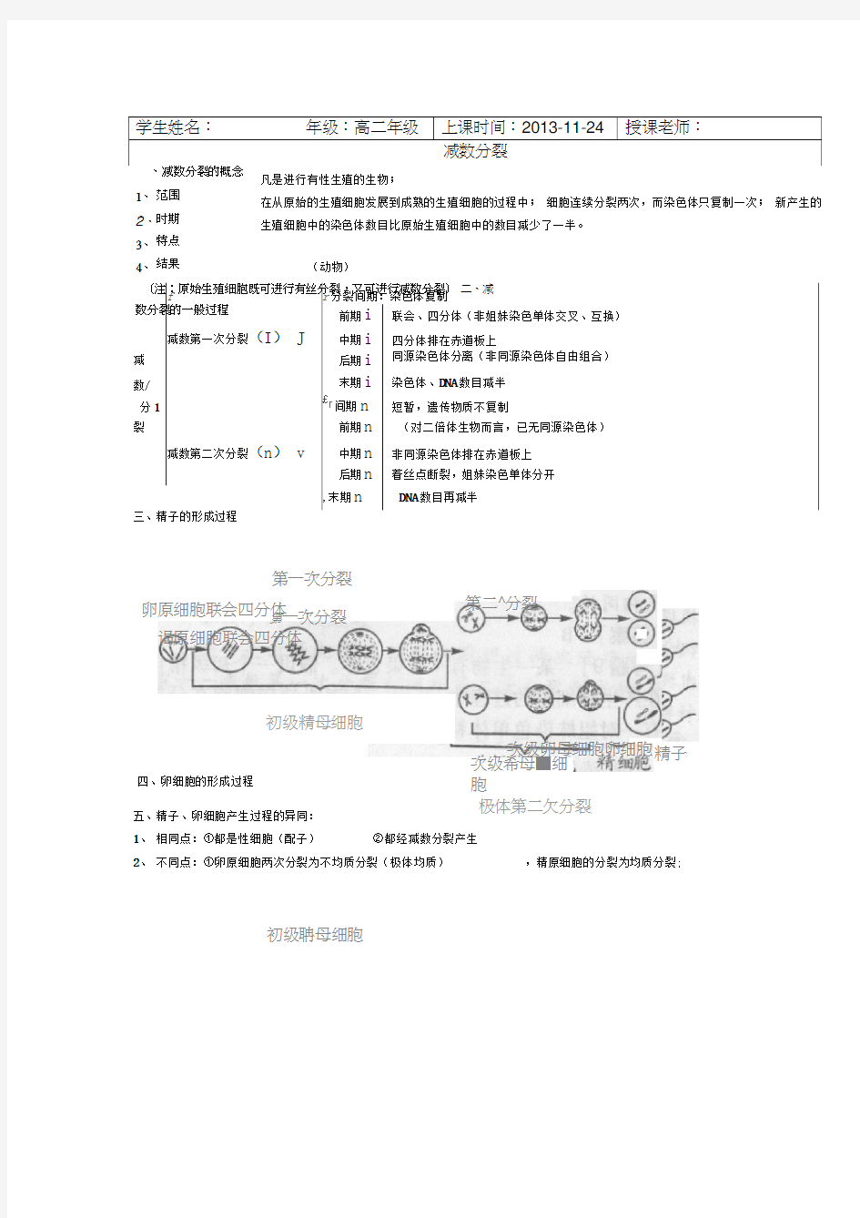 减数分裂知识点总结