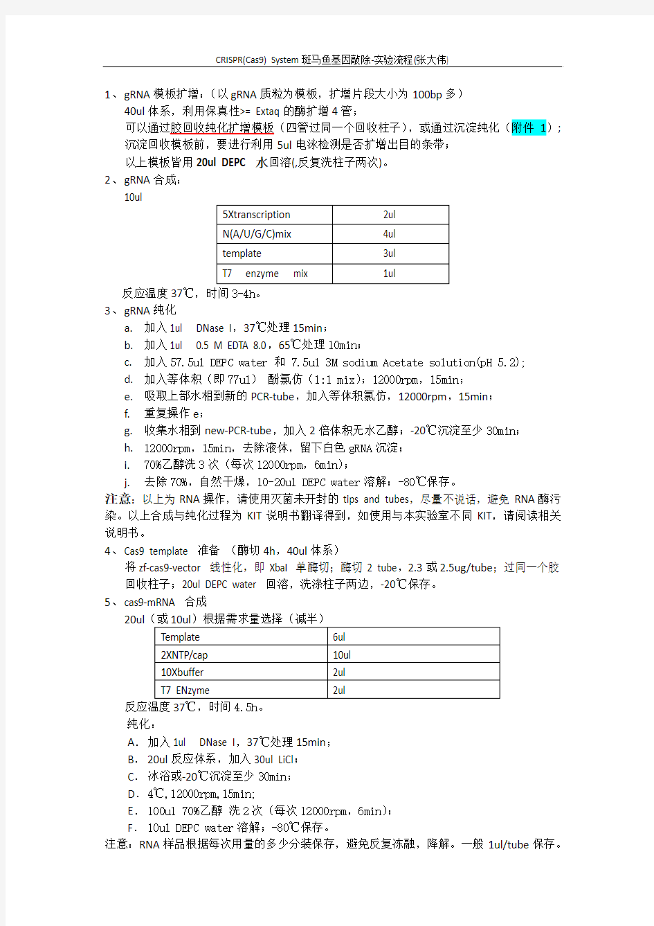 CRISPR(Cas9) System斑马鱼基因敲除-实验流程3