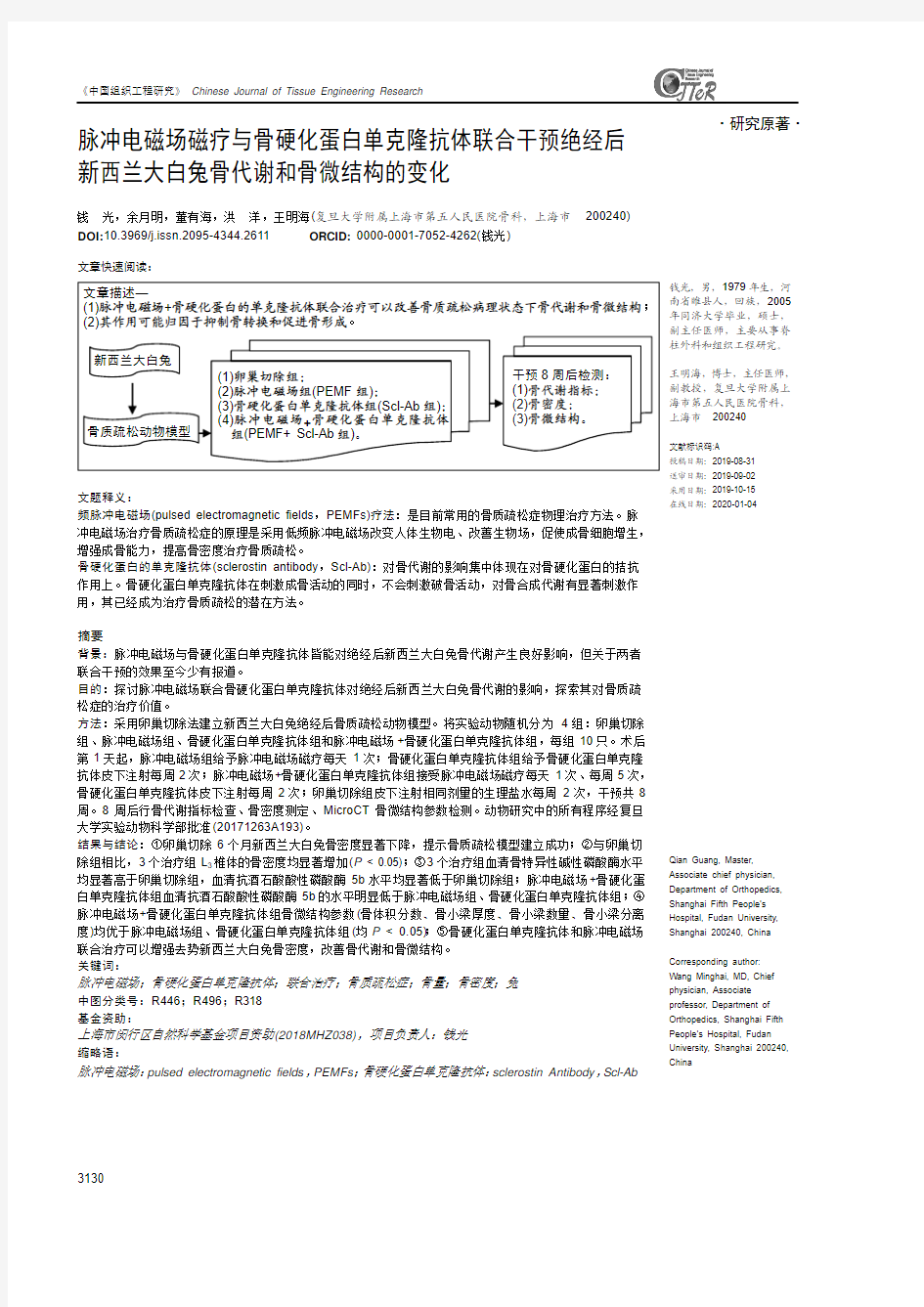 脉冲电磁场磁疗与骨硬化蛋白单克隆抗体联合干预绝经后新西兰大白兔骨代谢和骨微结构的变化