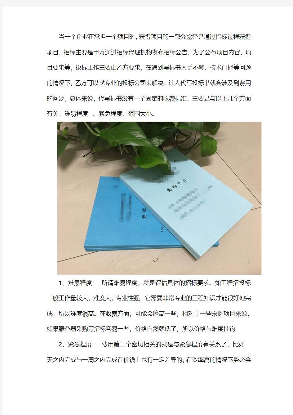 代做标书的费用是多少