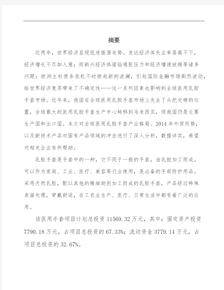 贵州手套项目立项申请报告 (1)