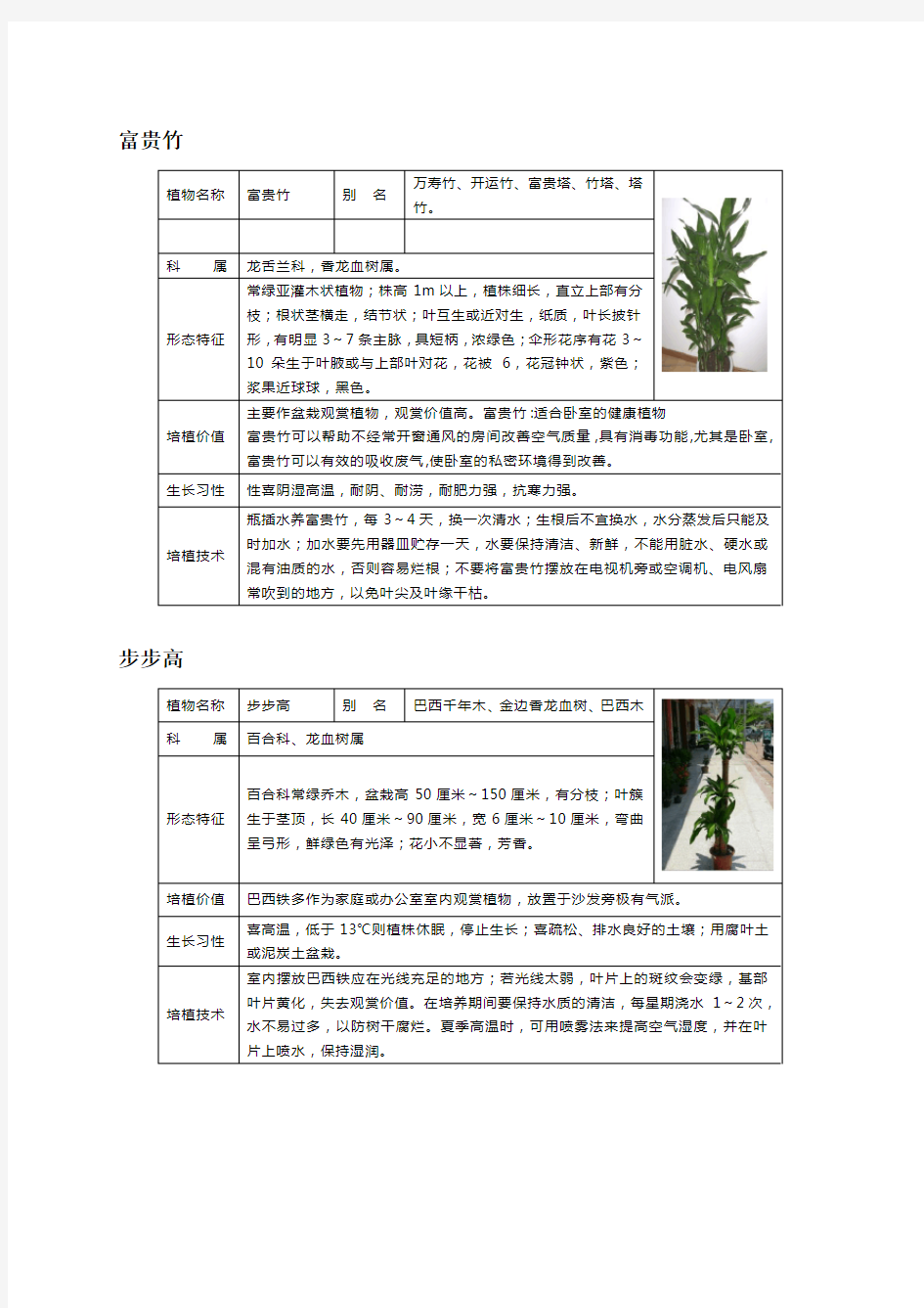 家中常见盆栽花卉知识大全